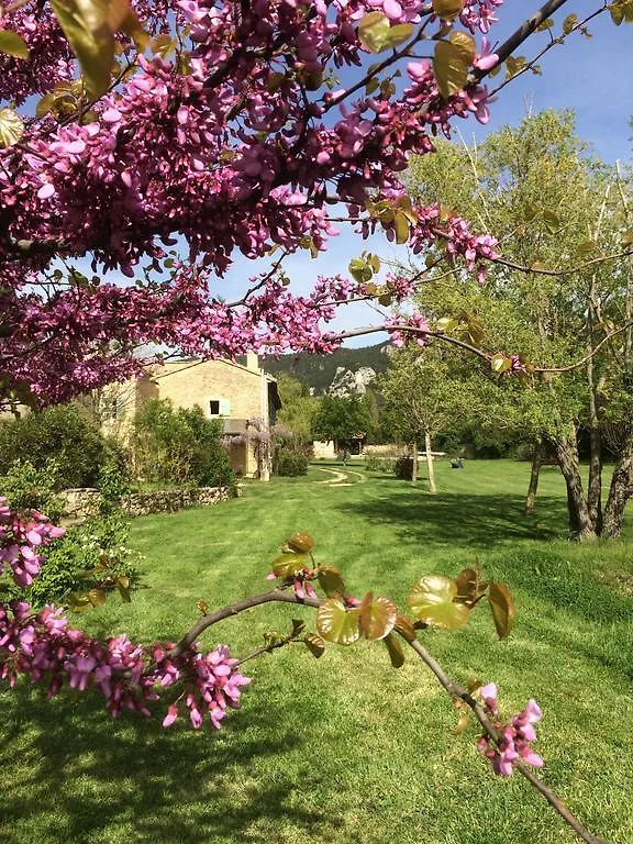 La Ferme Des Belugues Bed & Breakfast Le Barroux